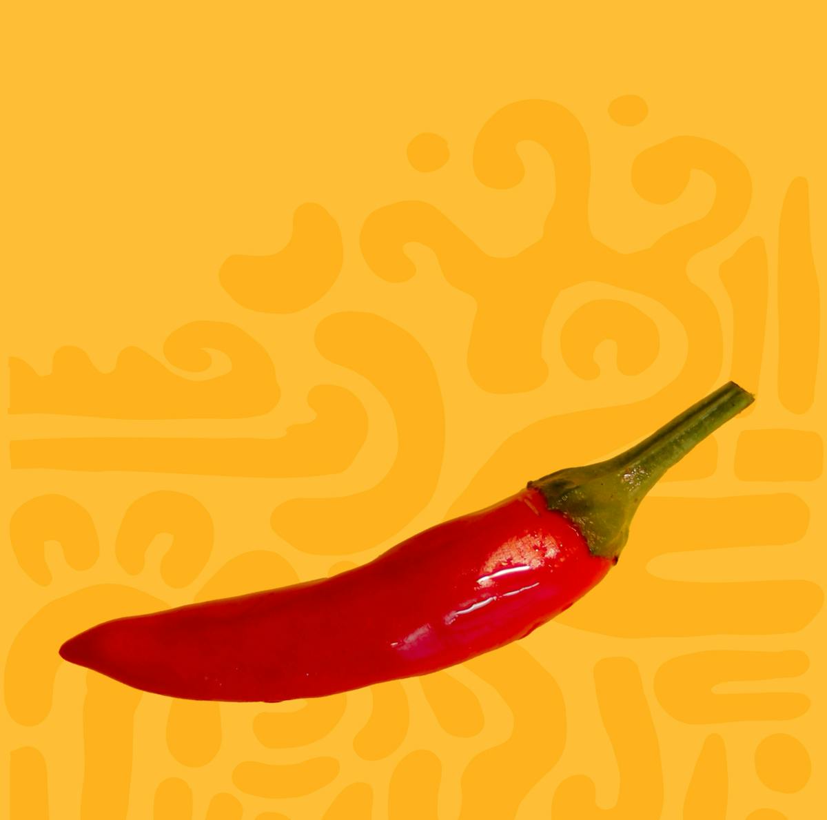 Website, branding and menu design for local mexican restaurant